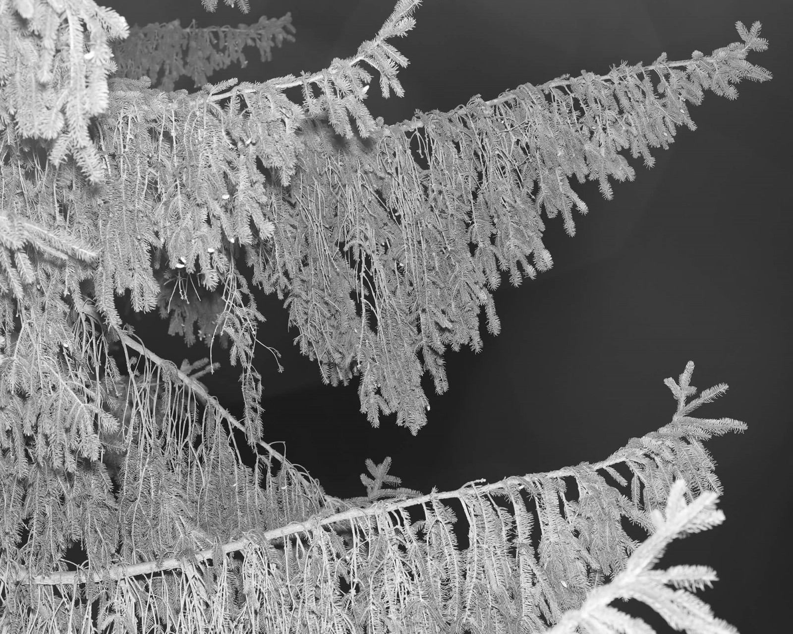 julien-lelievre-bivouac-pics-28