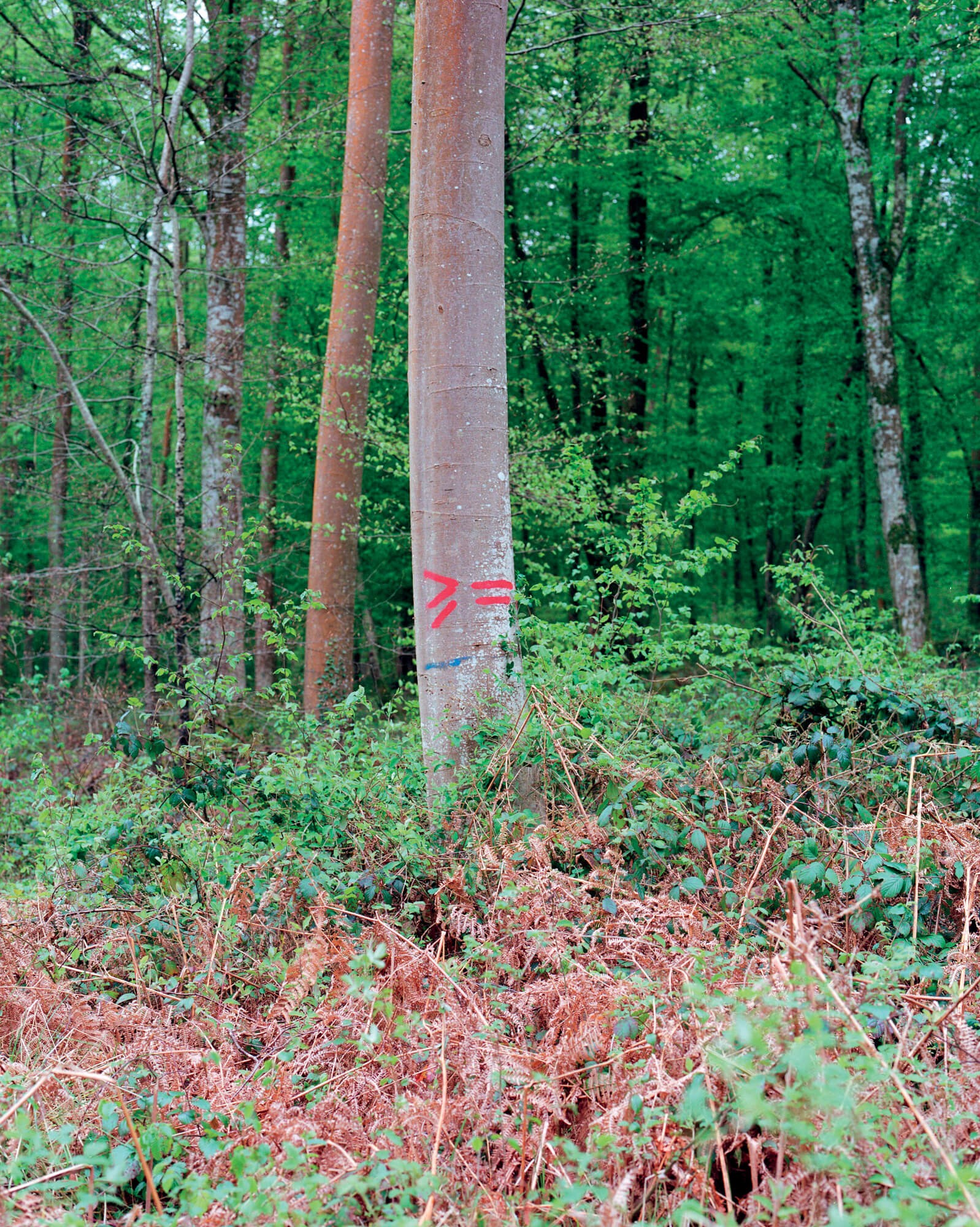 julien-lelievre-bivouac-pics-18