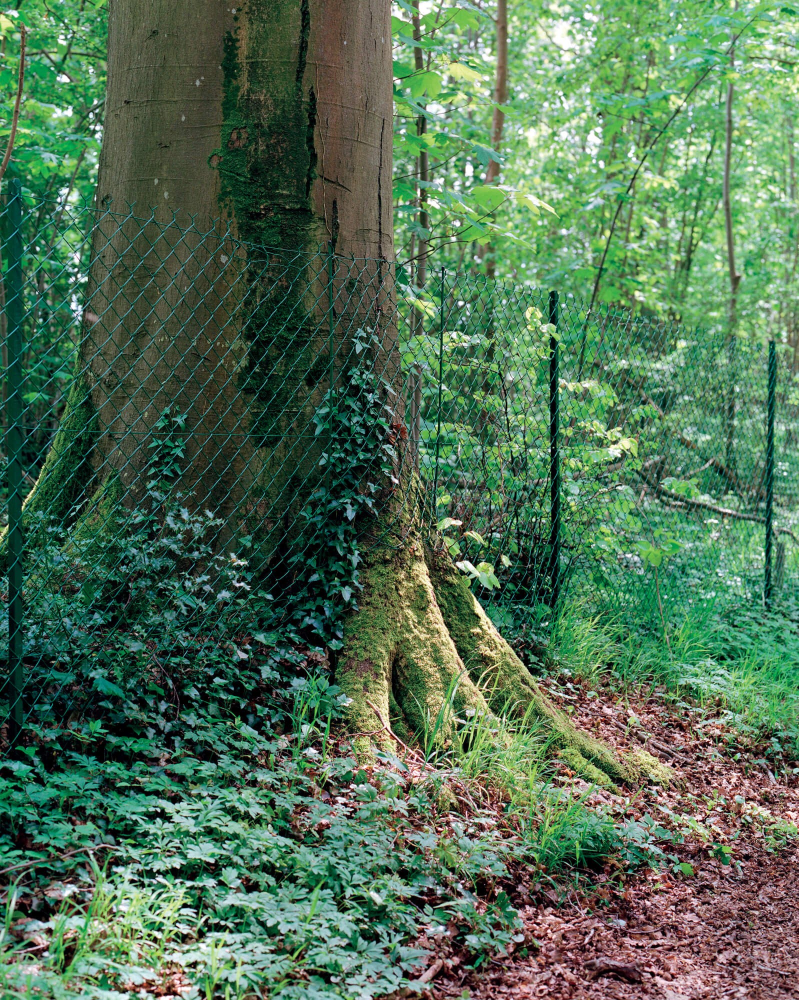 julien-lelievre-bivouac-pics-43