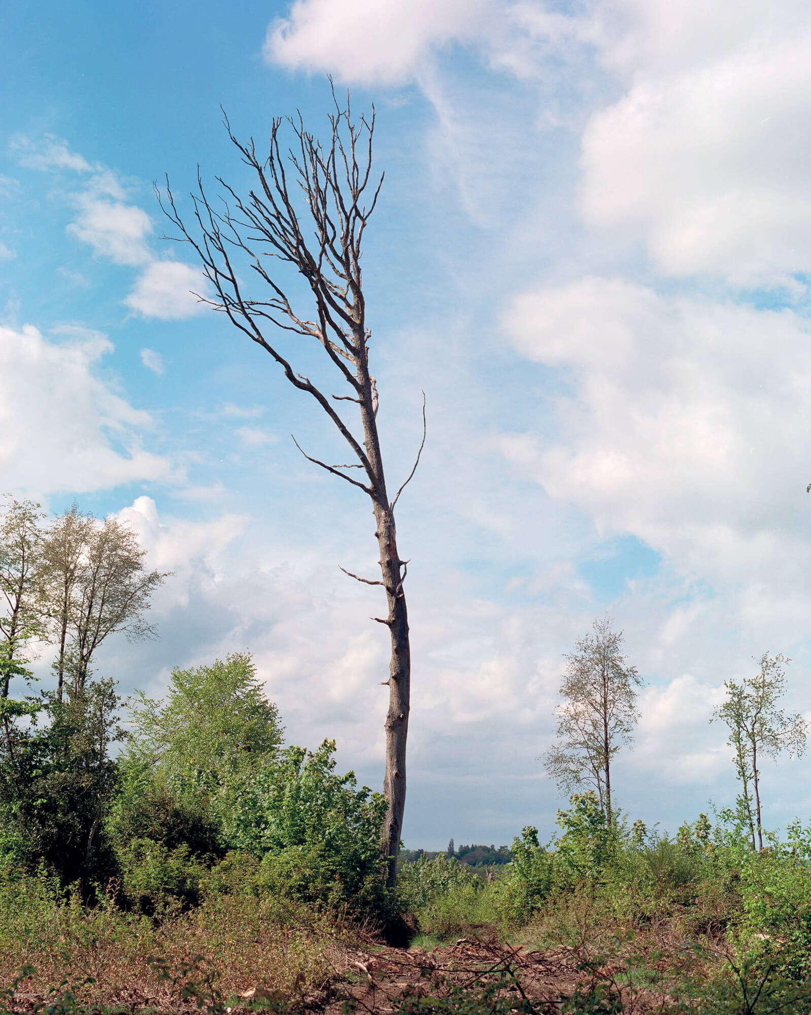 julien-lelievre-bivouac-pics-33