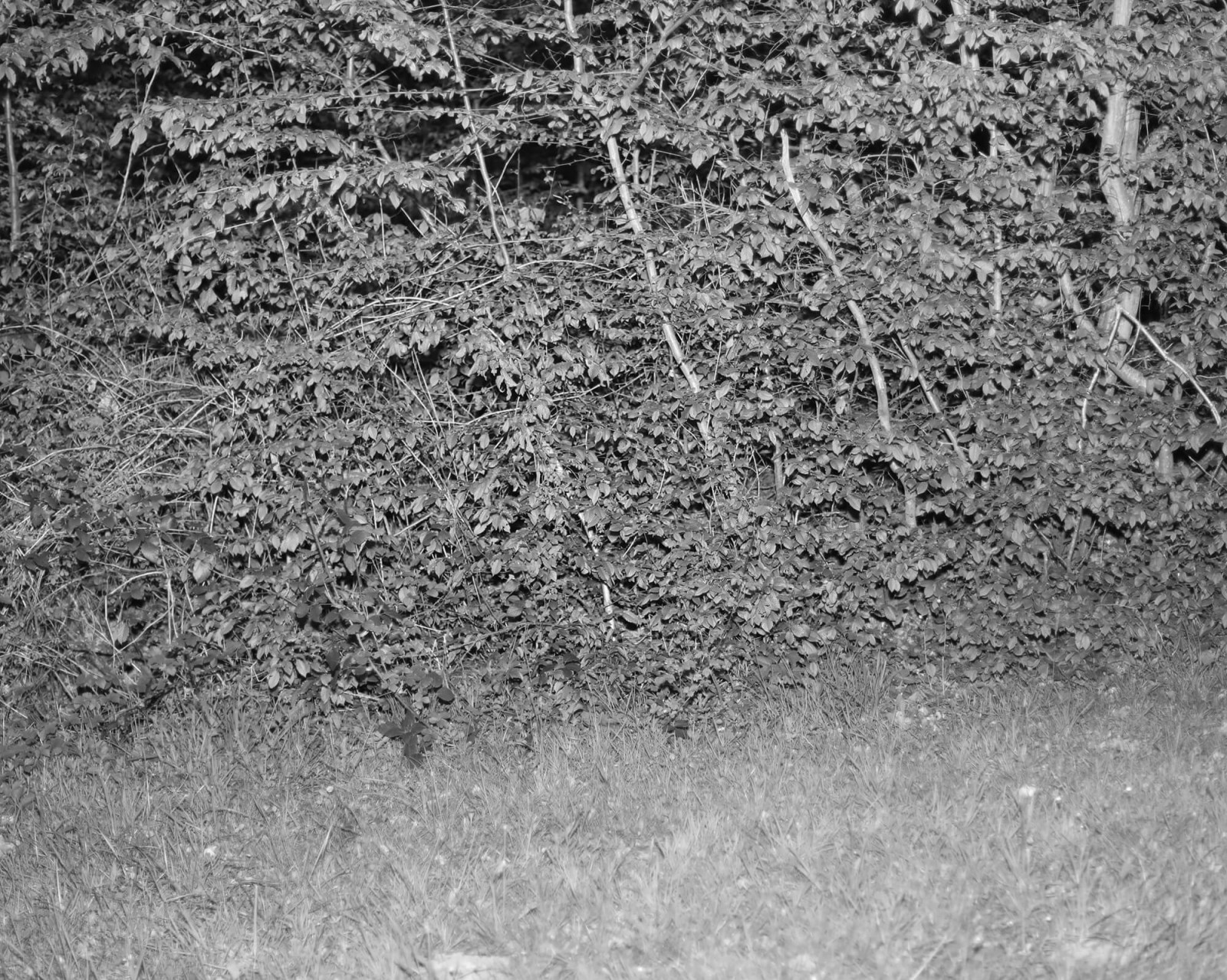 julien-lelievre-bivouac-pics-31