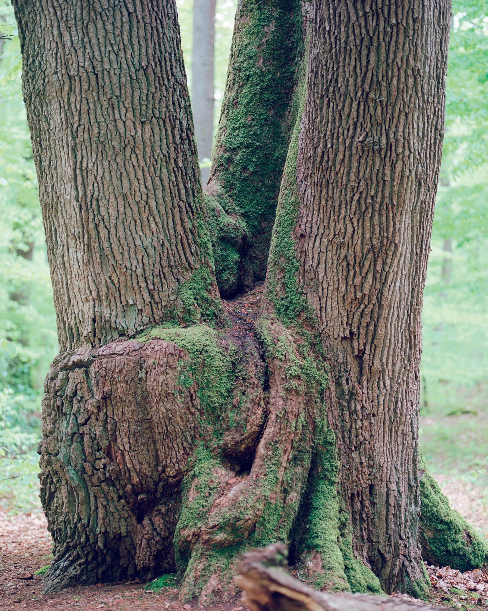 julien-lelievre-bivouac-pics-49
