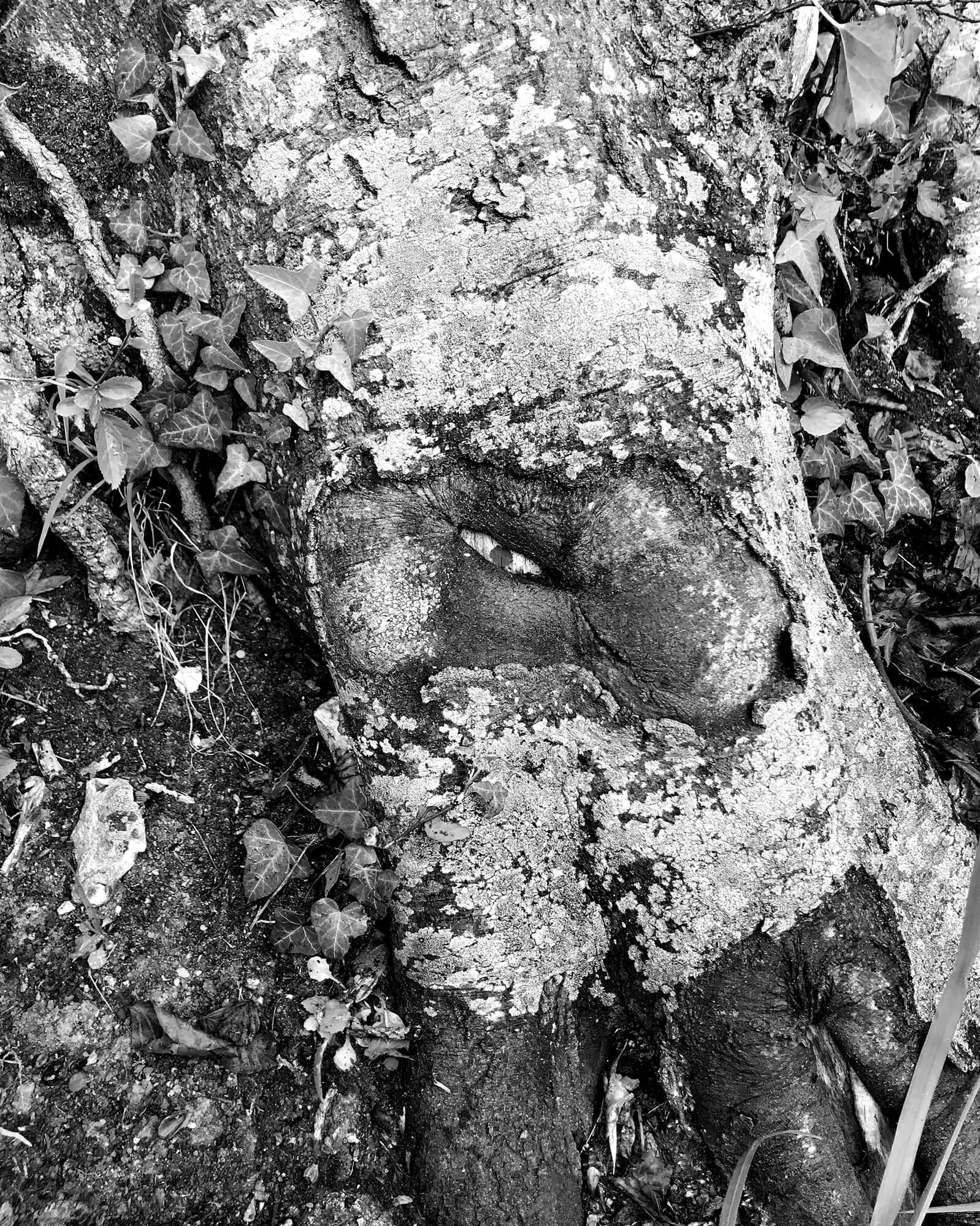 julien-lelievre-bivouac-pics-25