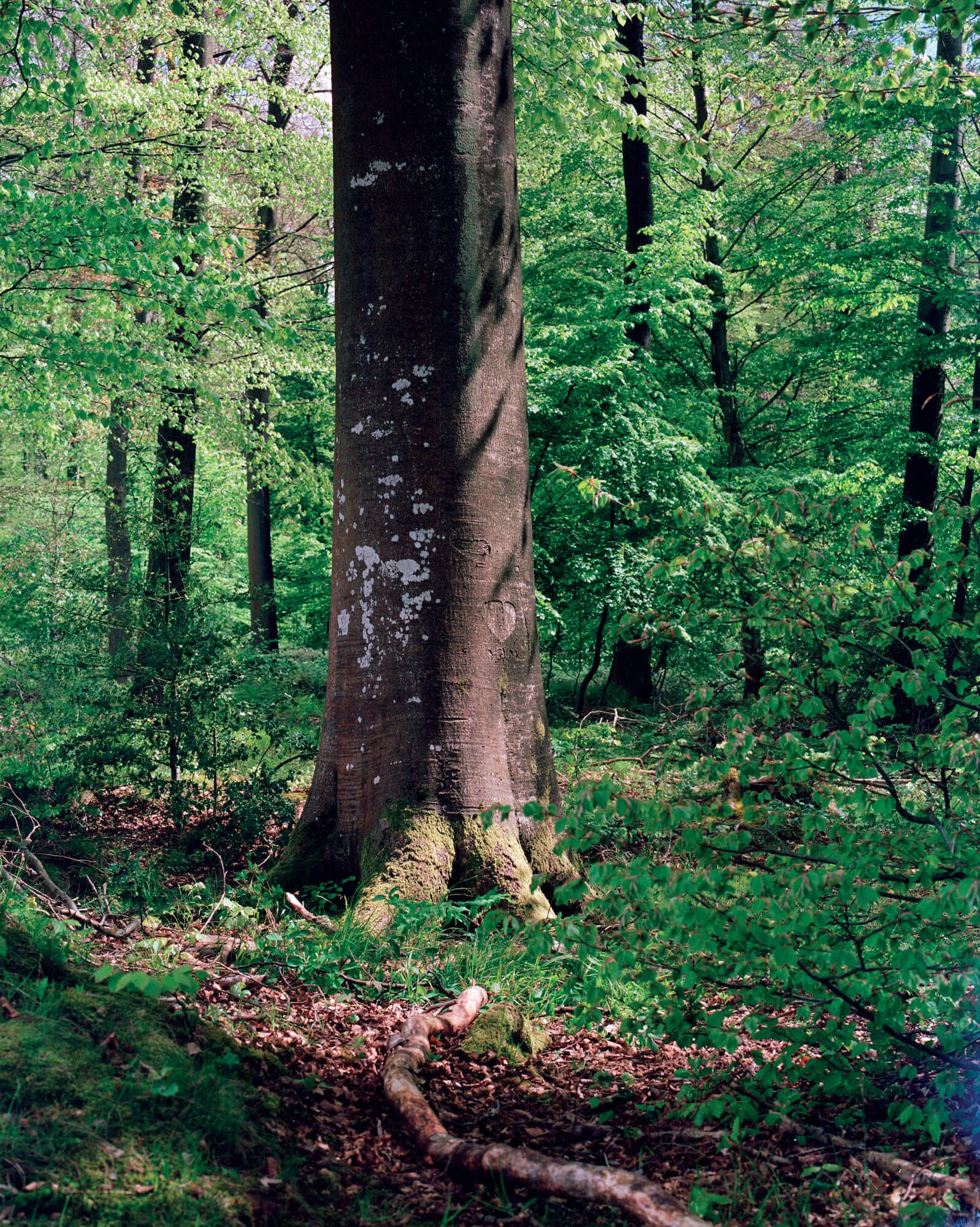 julien-lelievre-bivouac-pics-06