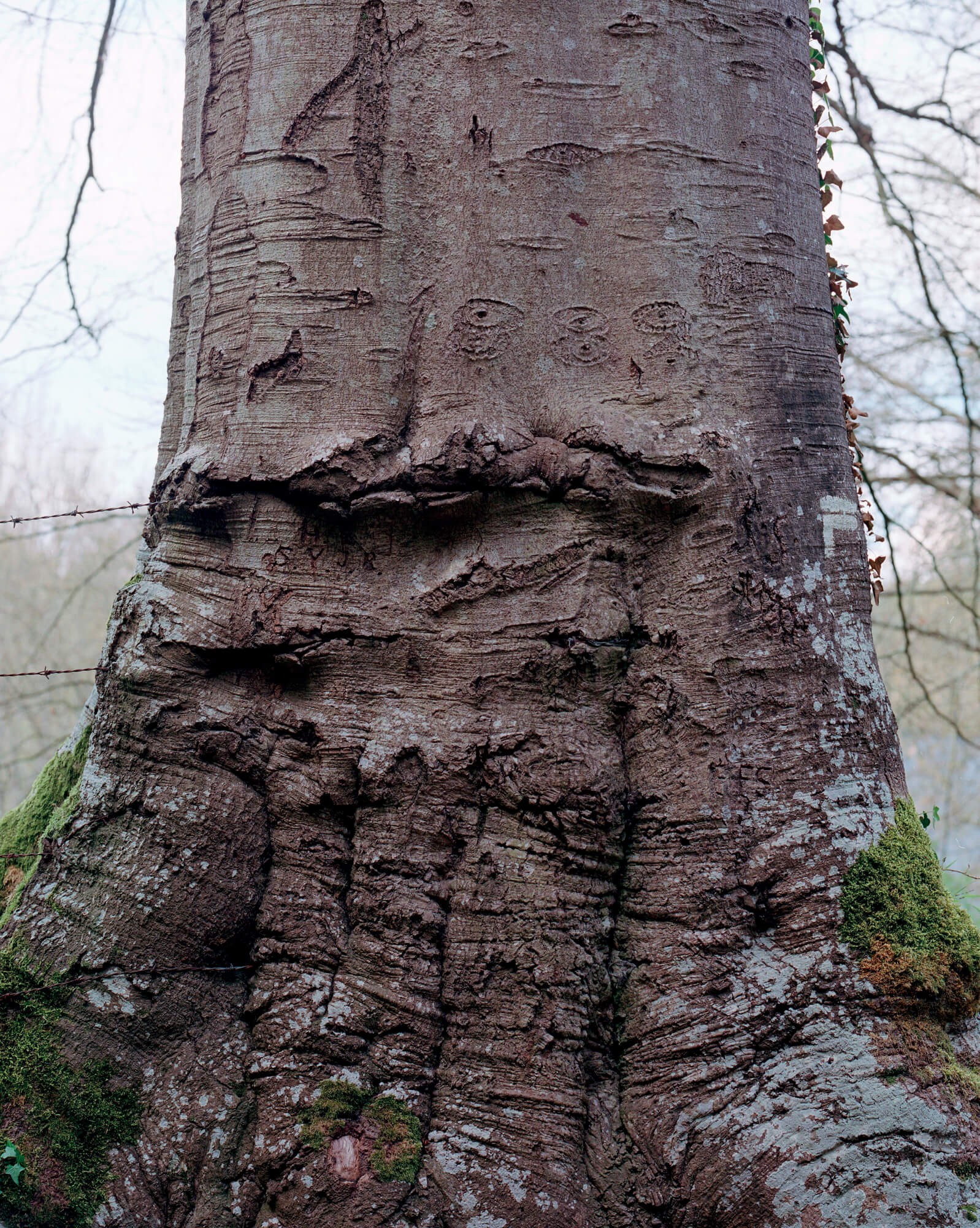 julien-lelievre-bivouac-pics-44