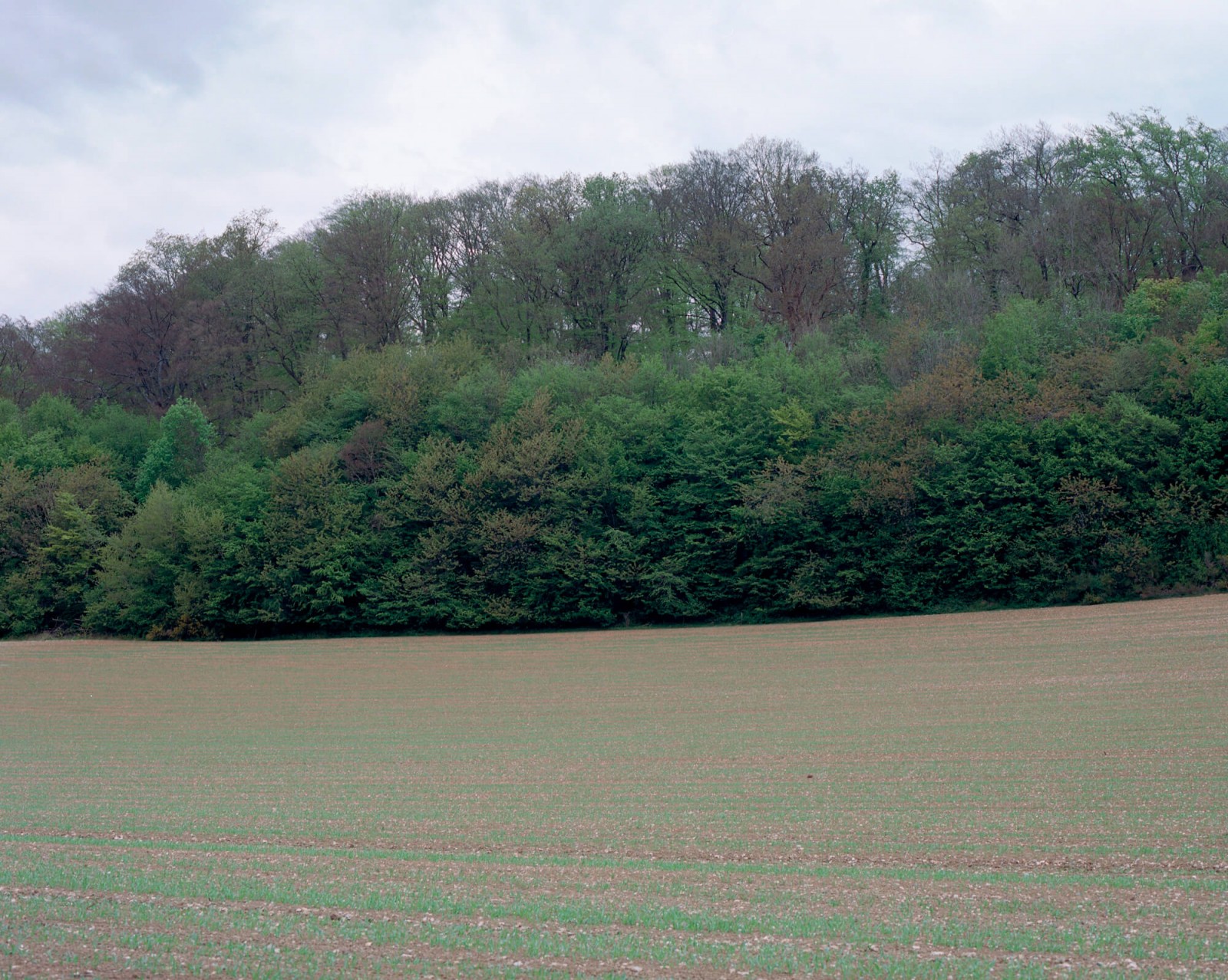 julien-lelievre-bivouac-pics-50