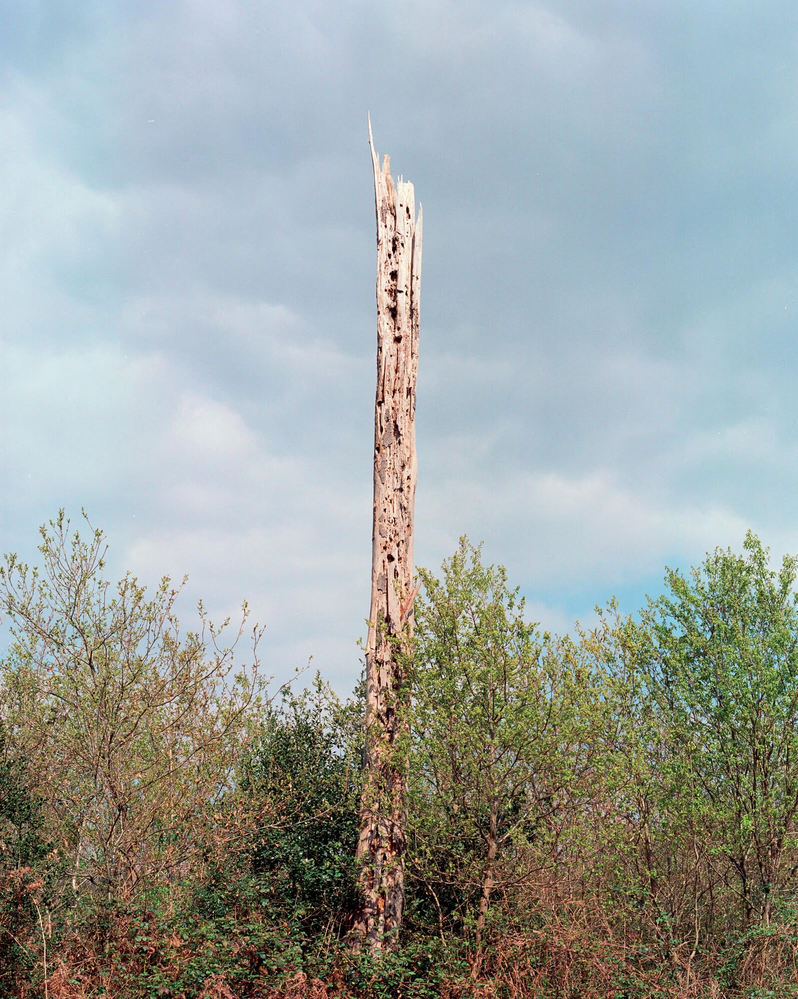 julien-lelievre-bivouac-pics-45