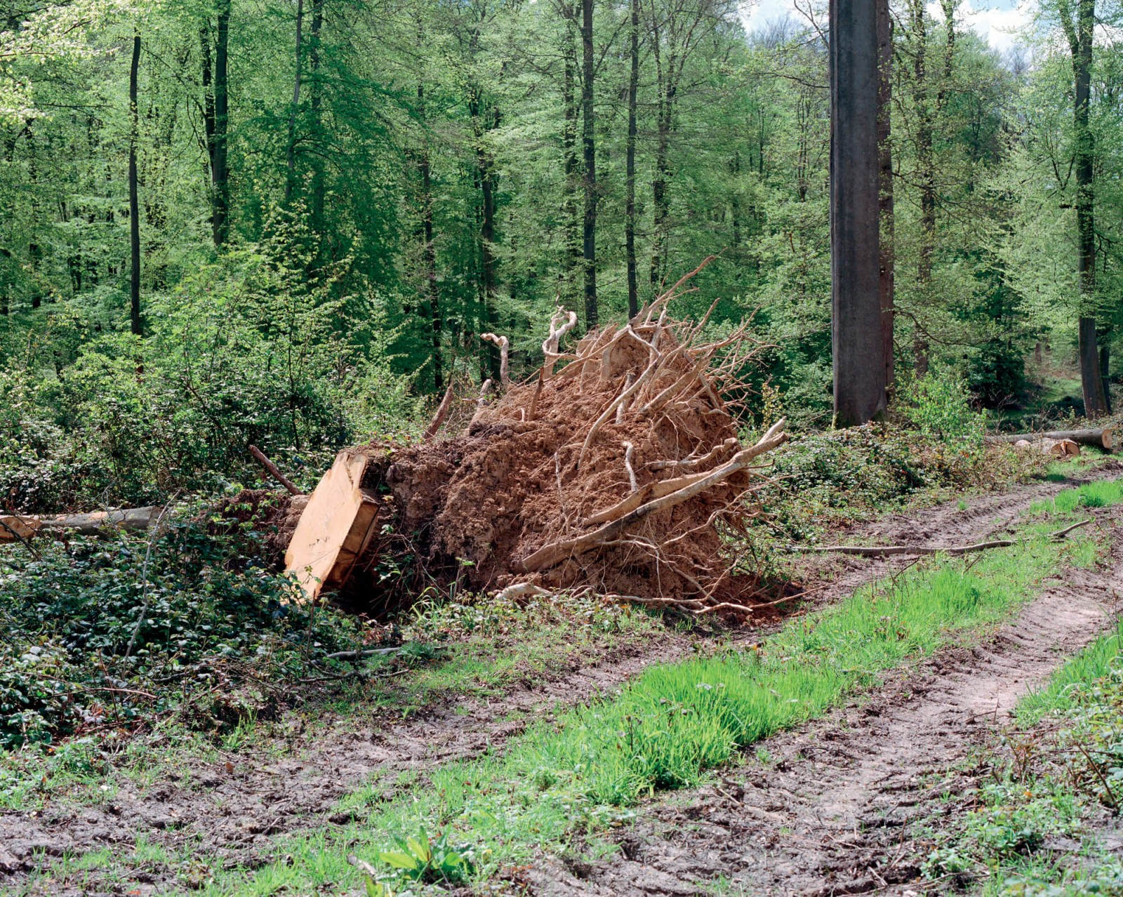 julien-lelievre-bivouac-pics-03