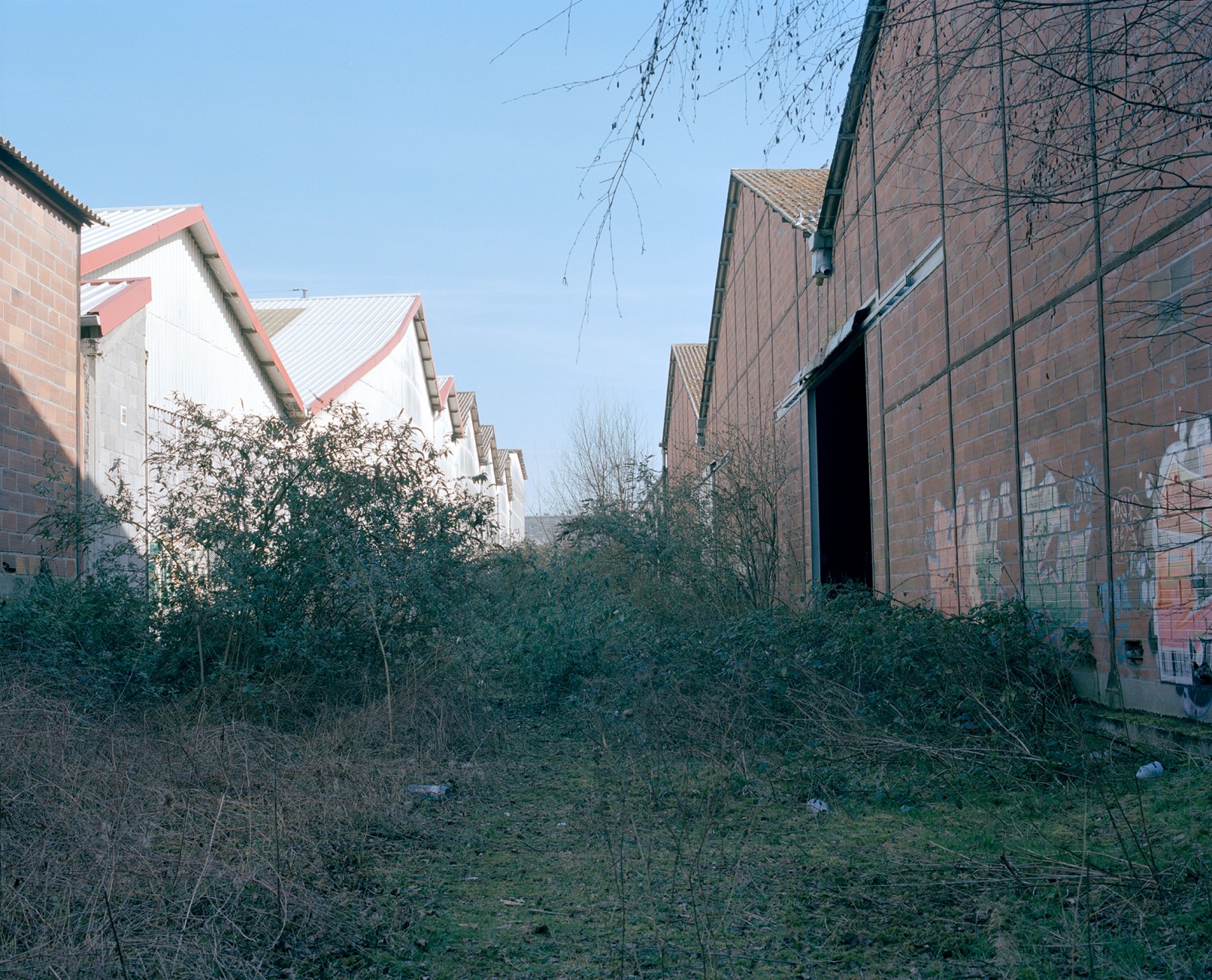 julien-lelievre-bonjourlambiance-17