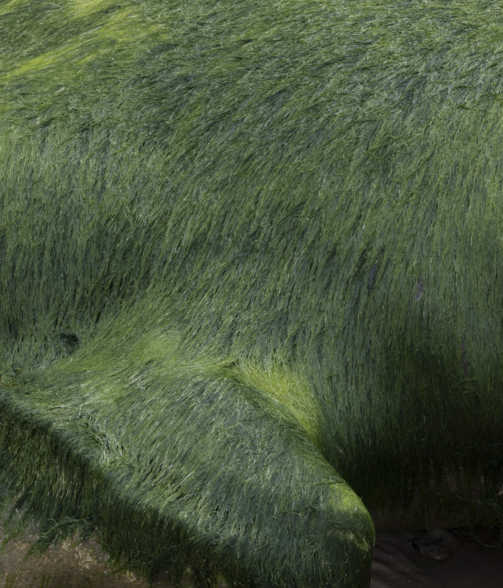 julien-lelievre-hv-63