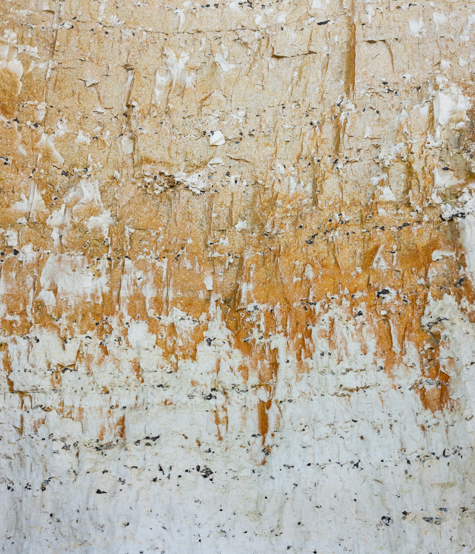 julien-lelievre-hv-80