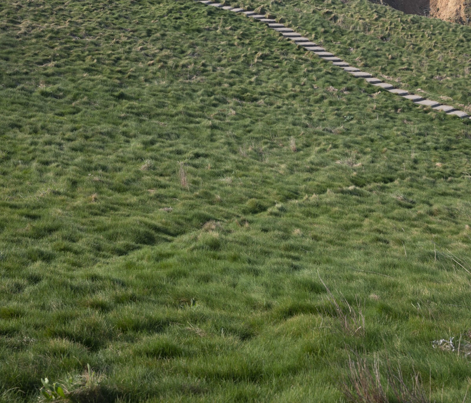 julien-lelievre-hv-46