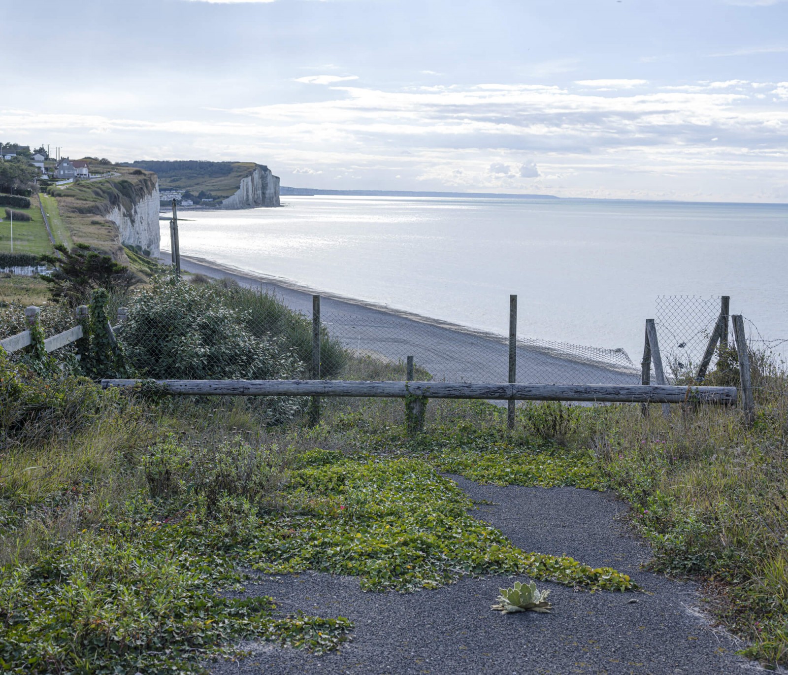 julien-lelievre-hv-50