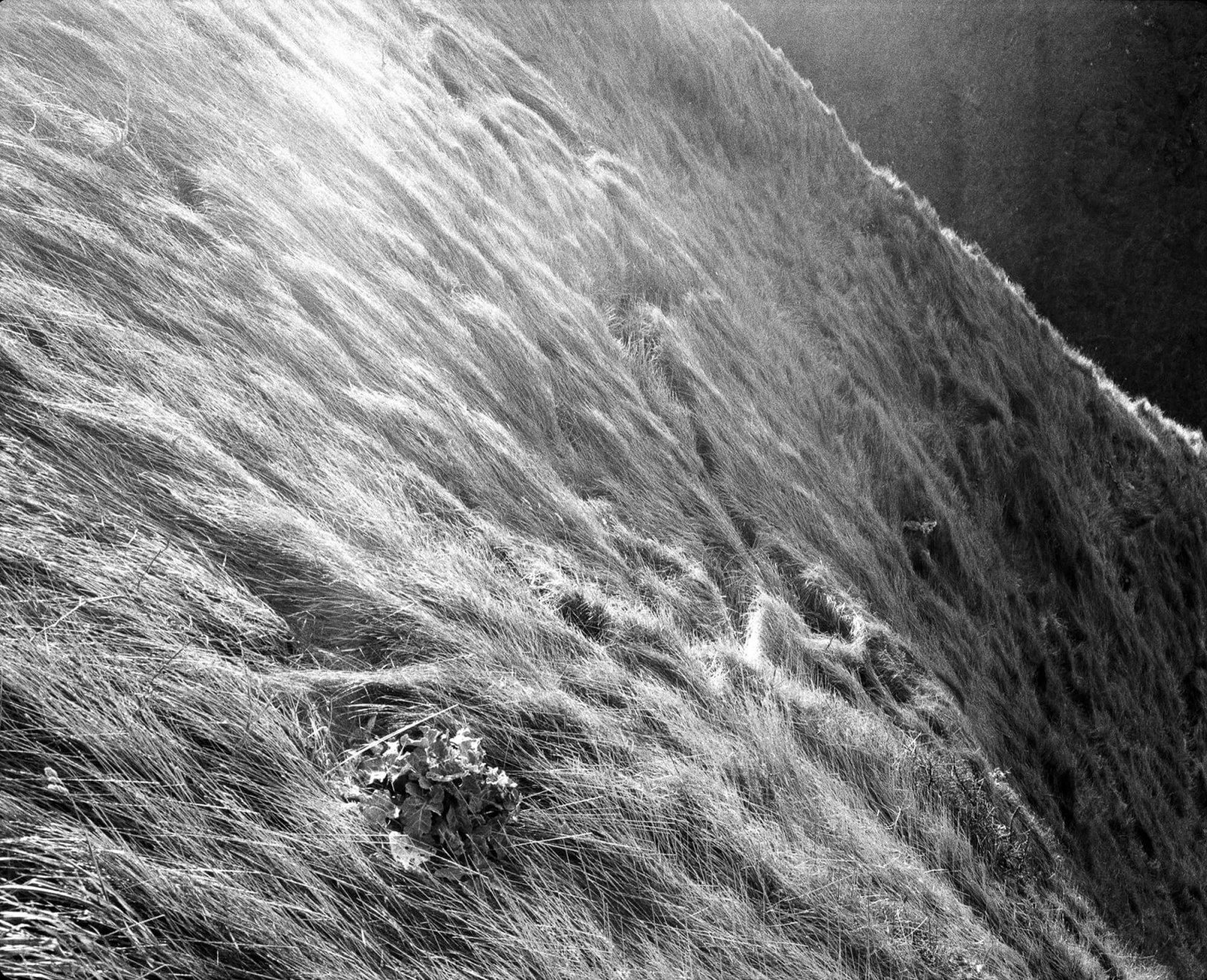 julien-lelievre-etre-tas-13