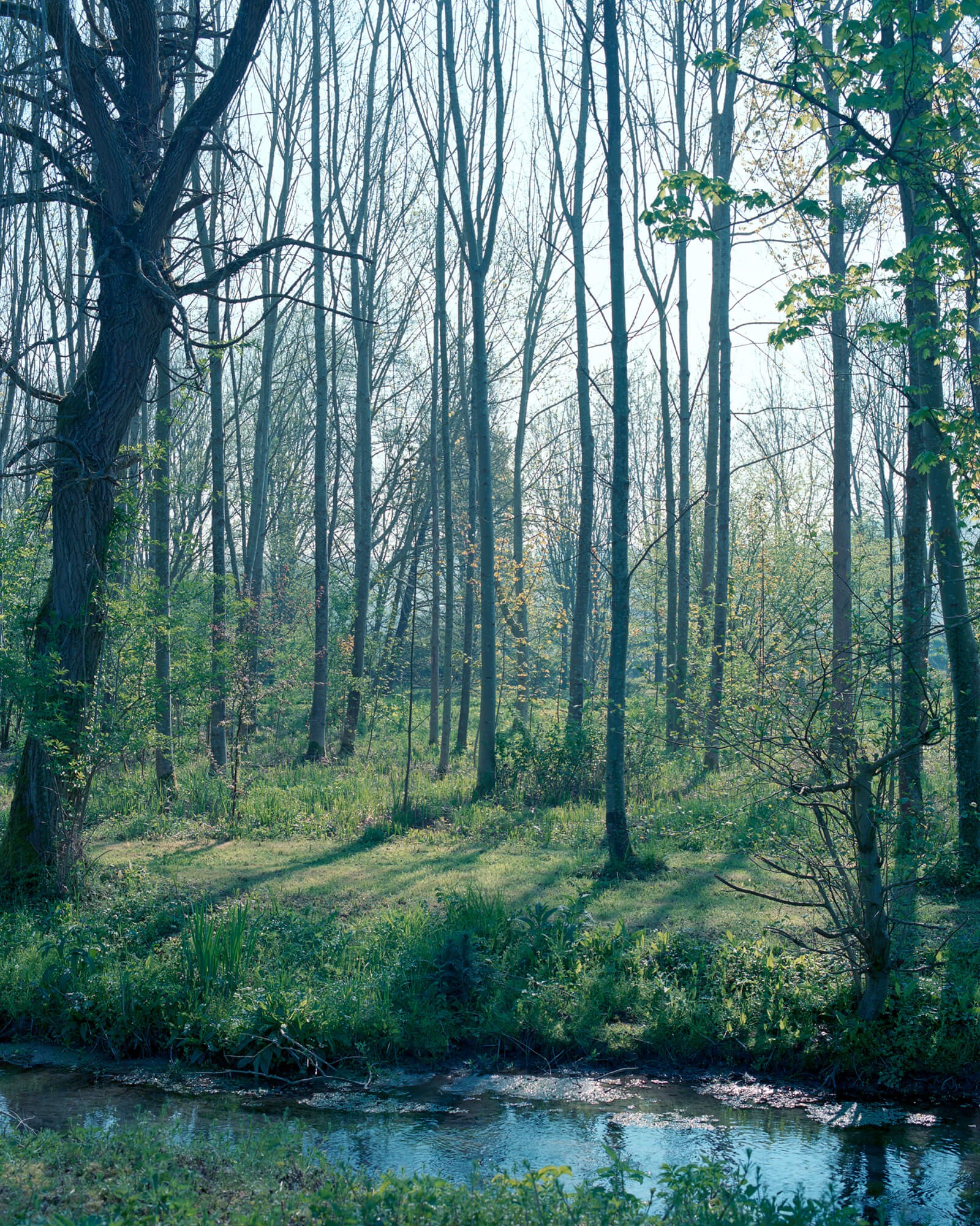 julien-lelievre-fairelepont-35