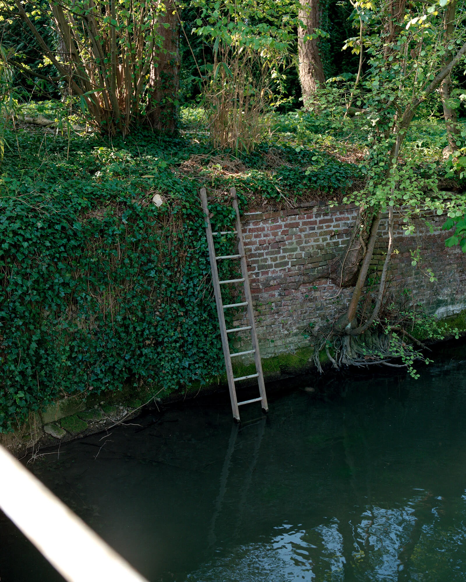 julien-lelievre-fairelepont-17