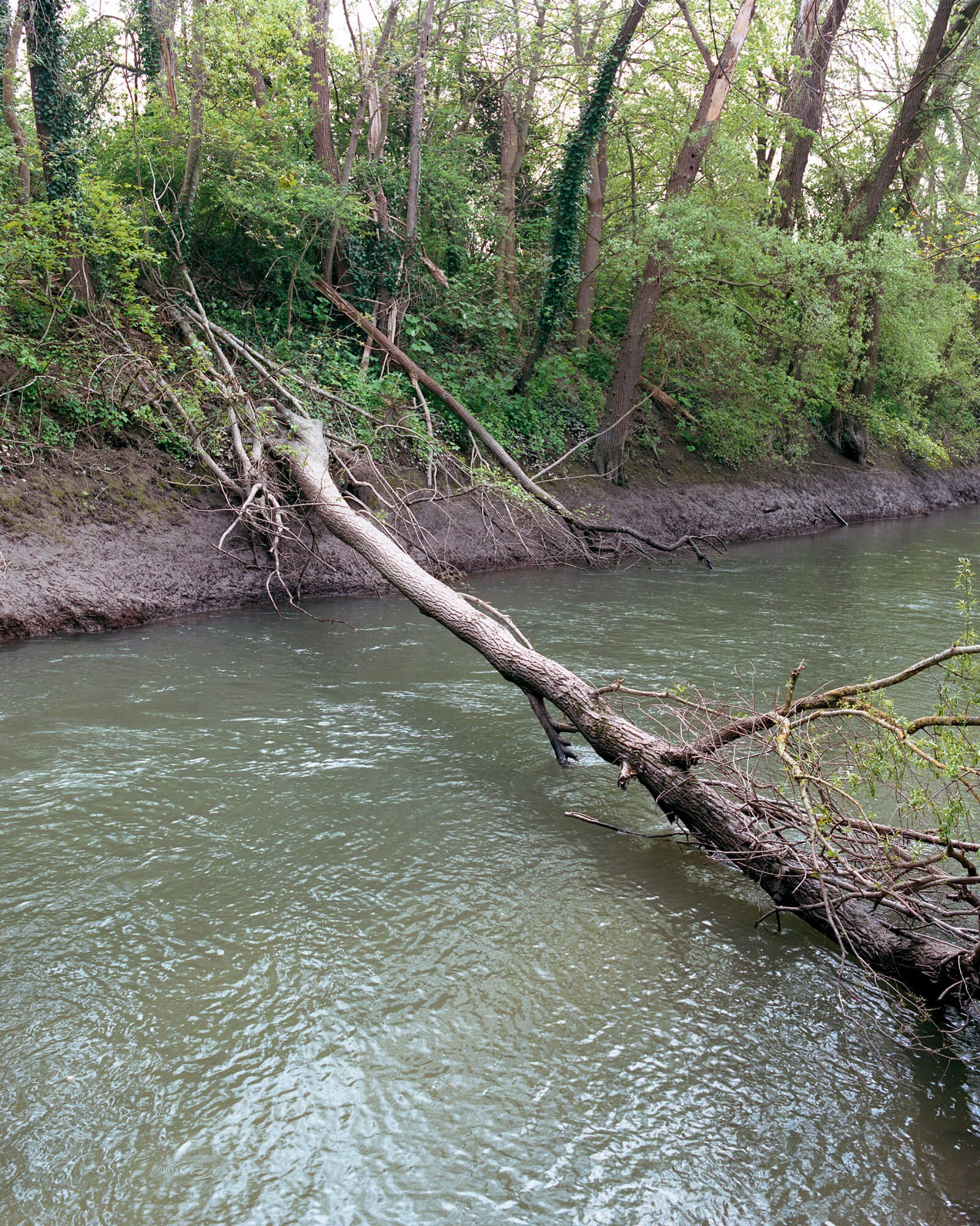 julien-lelievre-fairelepont-64