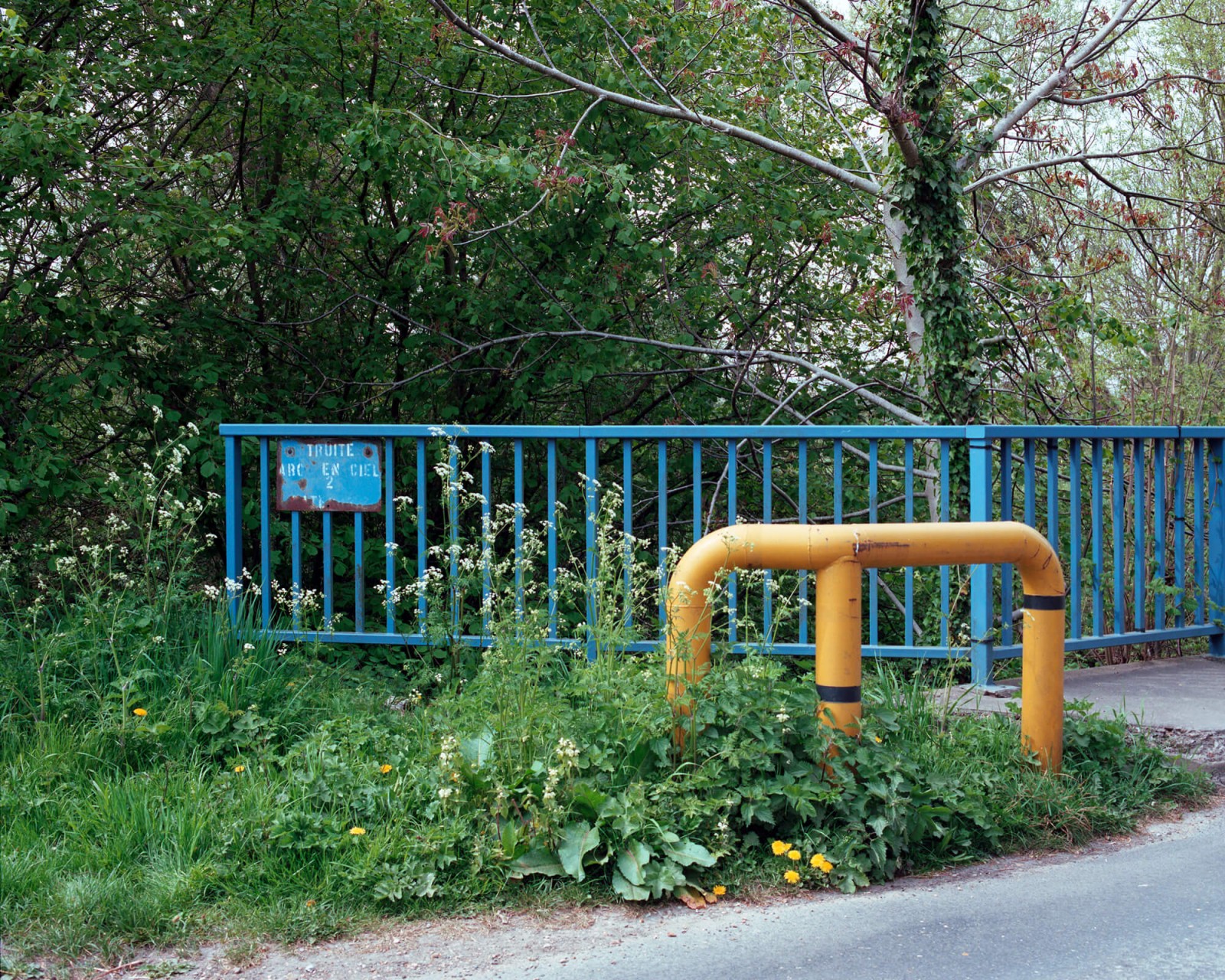 julien-lelievre-fairelepont-61