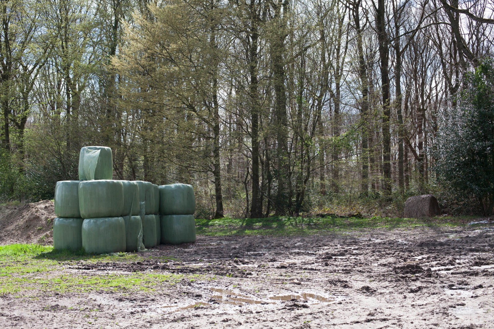 julien-lelievre-noustous-pics-0432