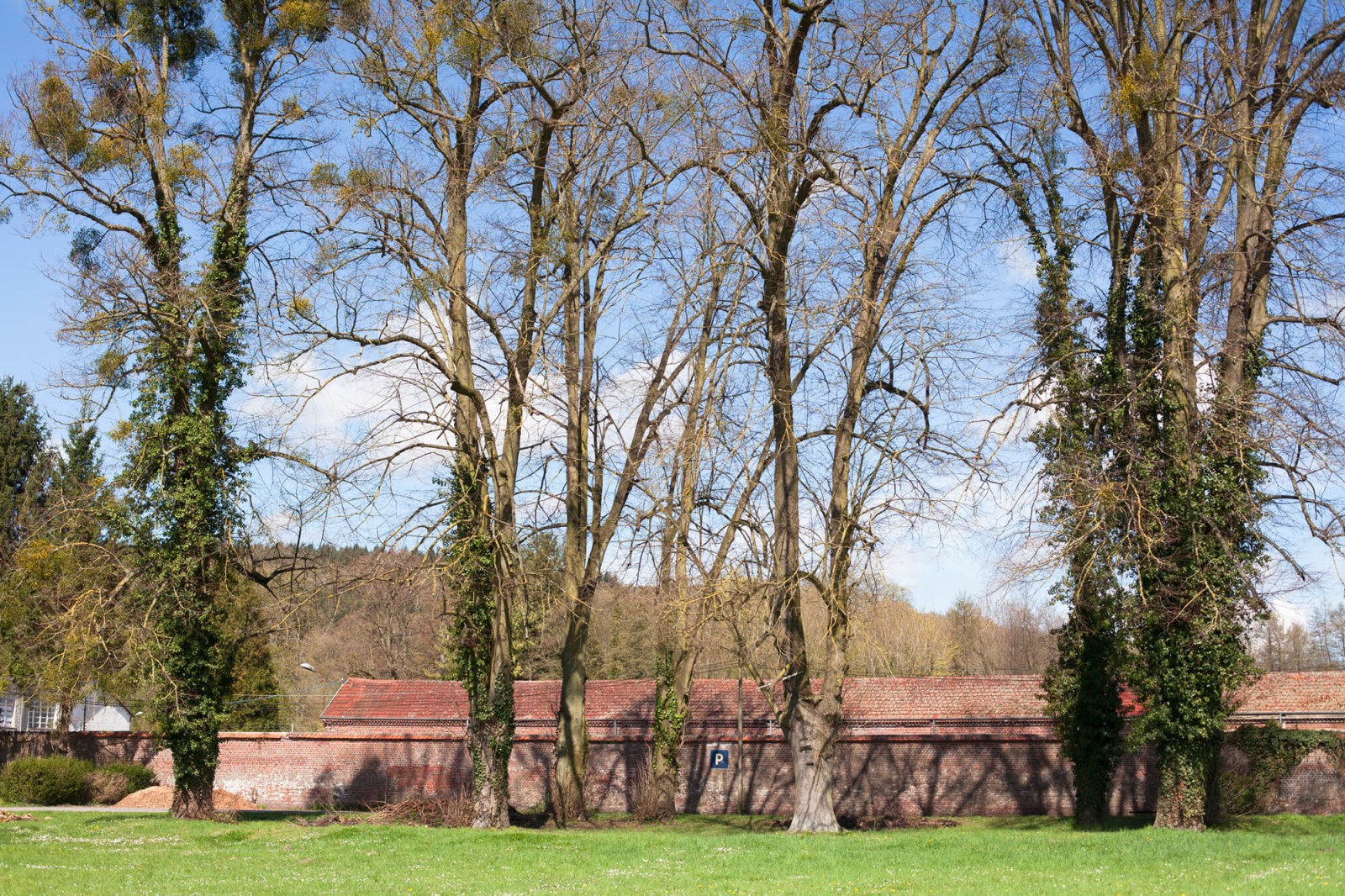 julien-lelievre-noustous-pics-0031