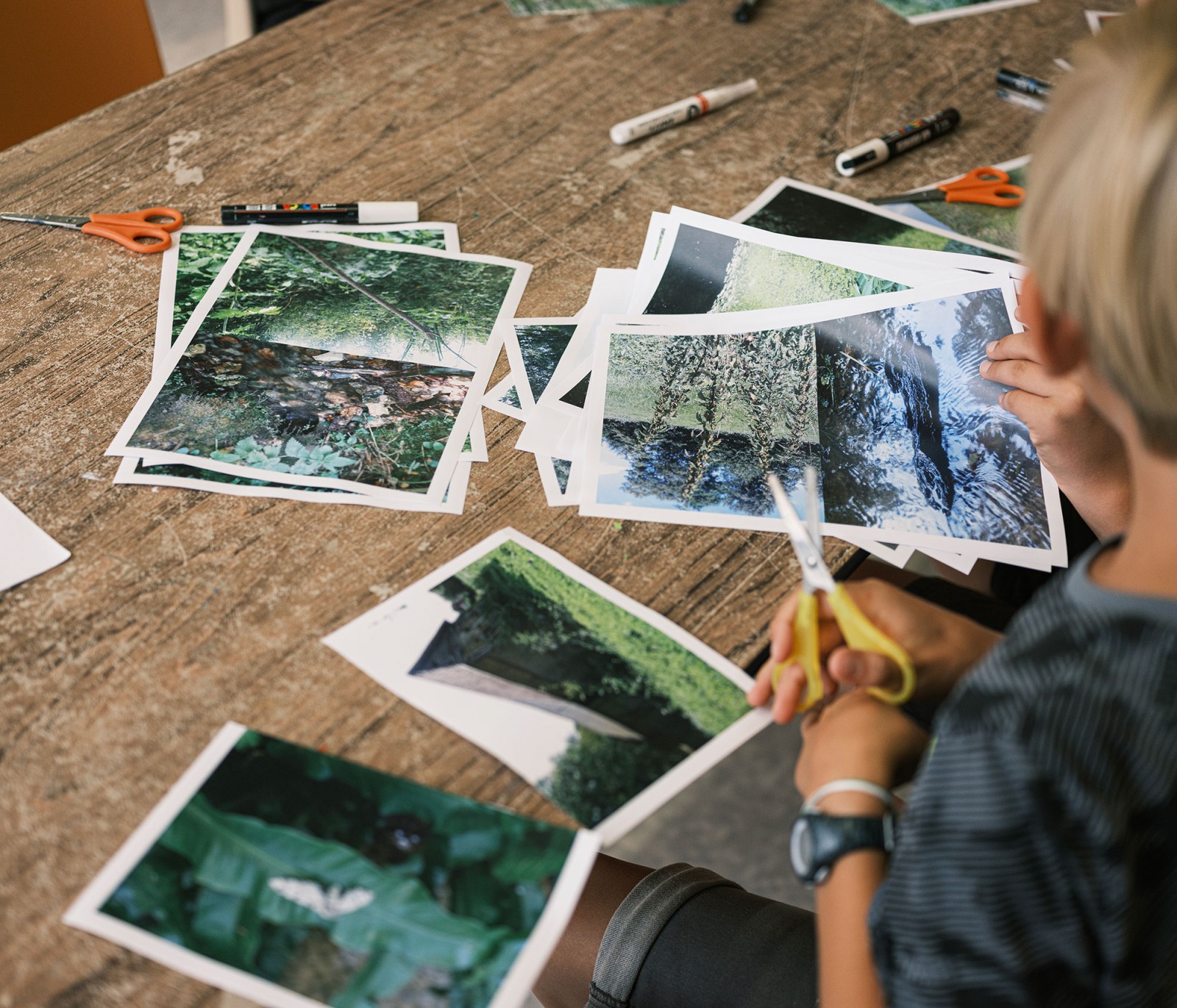 lelievre-oasis-dscf2677