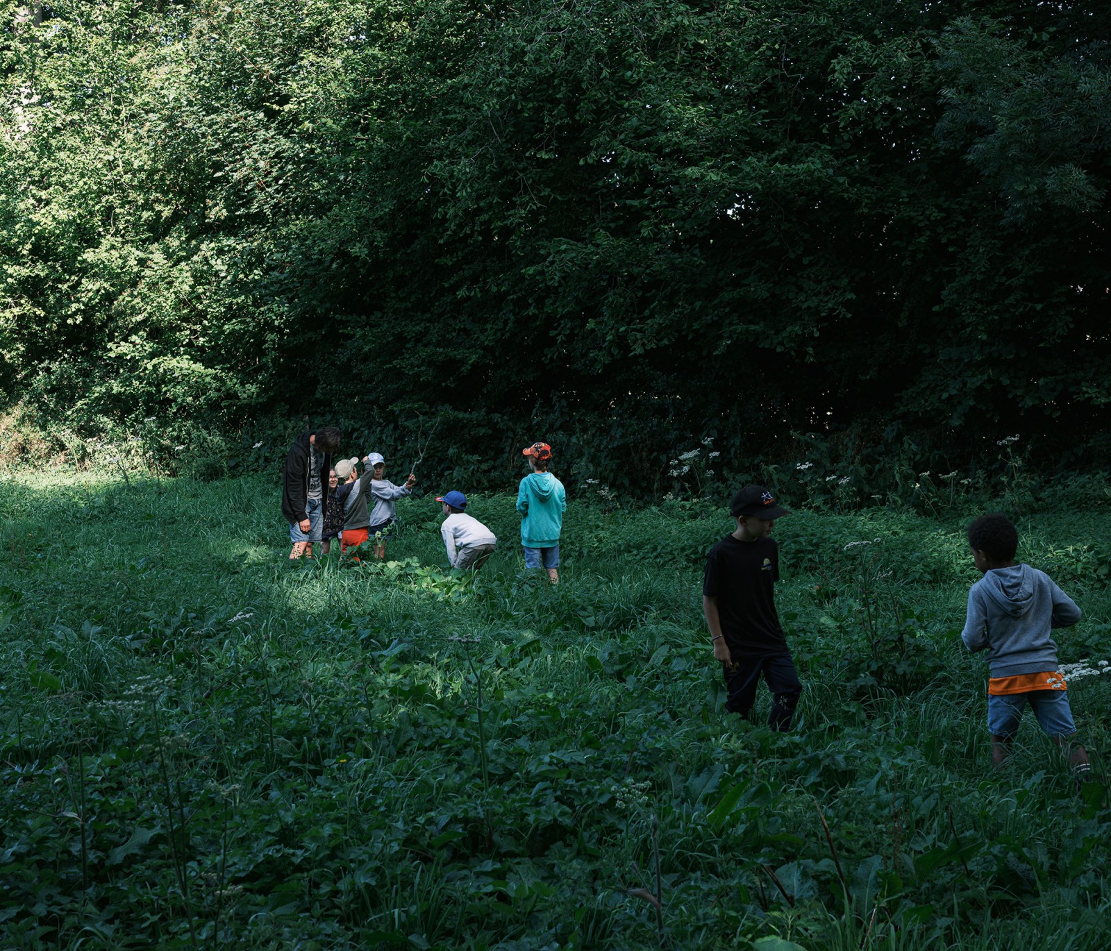 lelievre-oasis-dscf2607