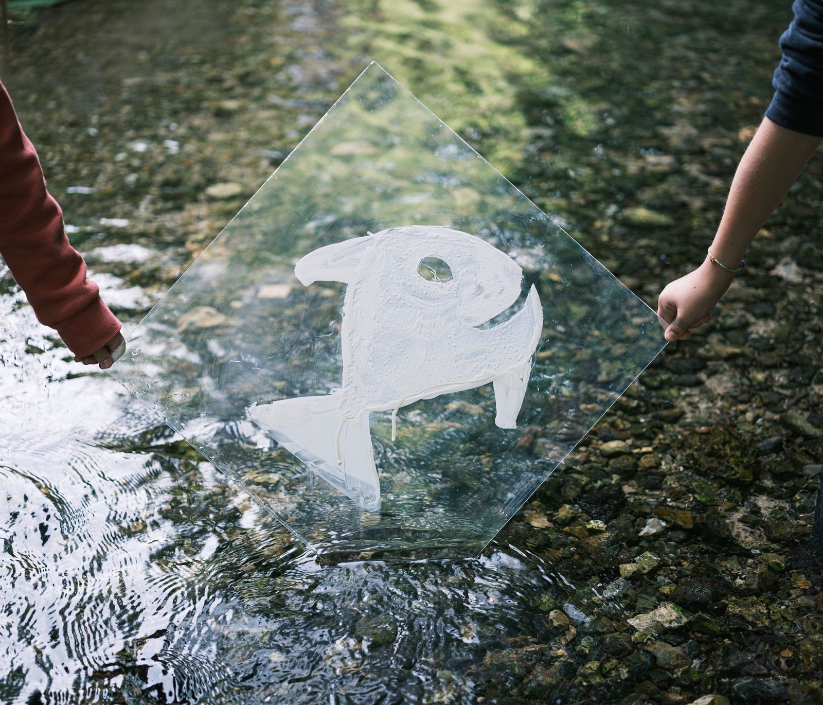 lelievre-oasis-dscf2719