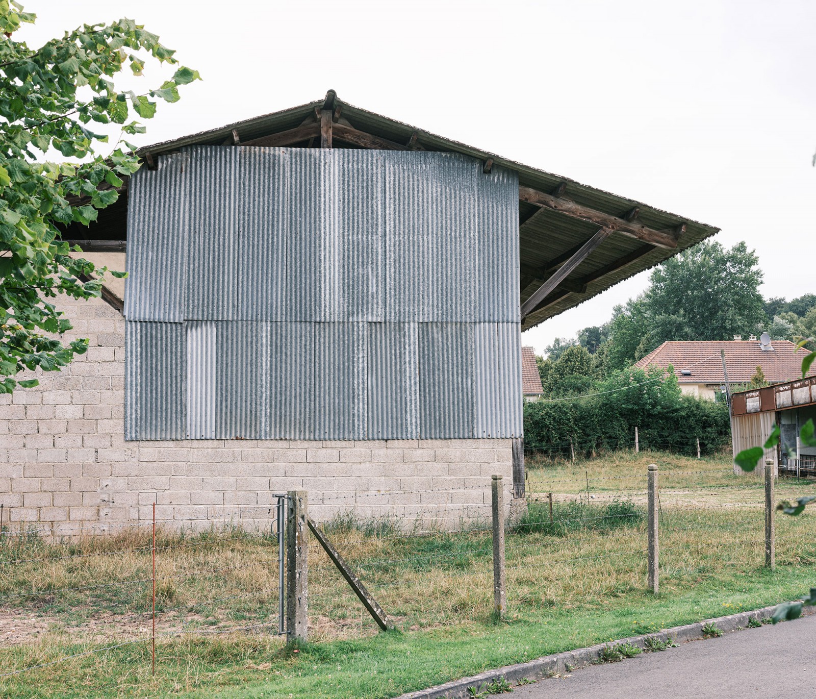 lelievre-oasis-dscf2602