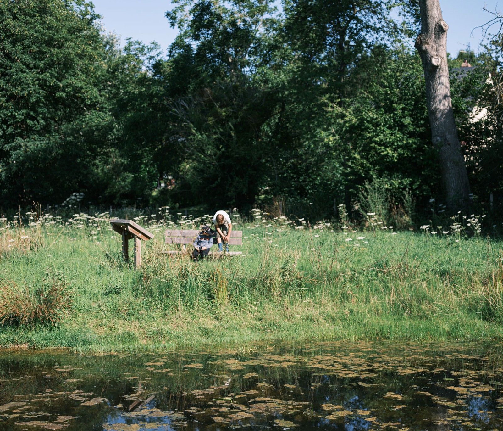 lelievre-oasis-dscf2616