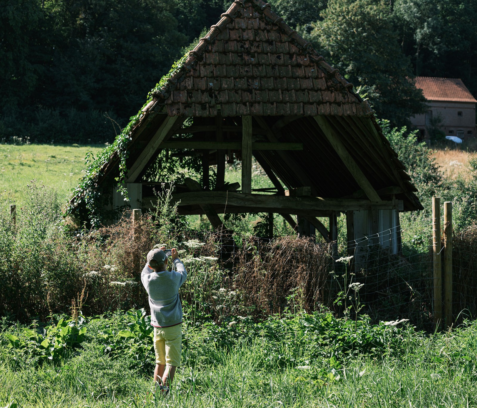 lelievre-oasis-dscf2629