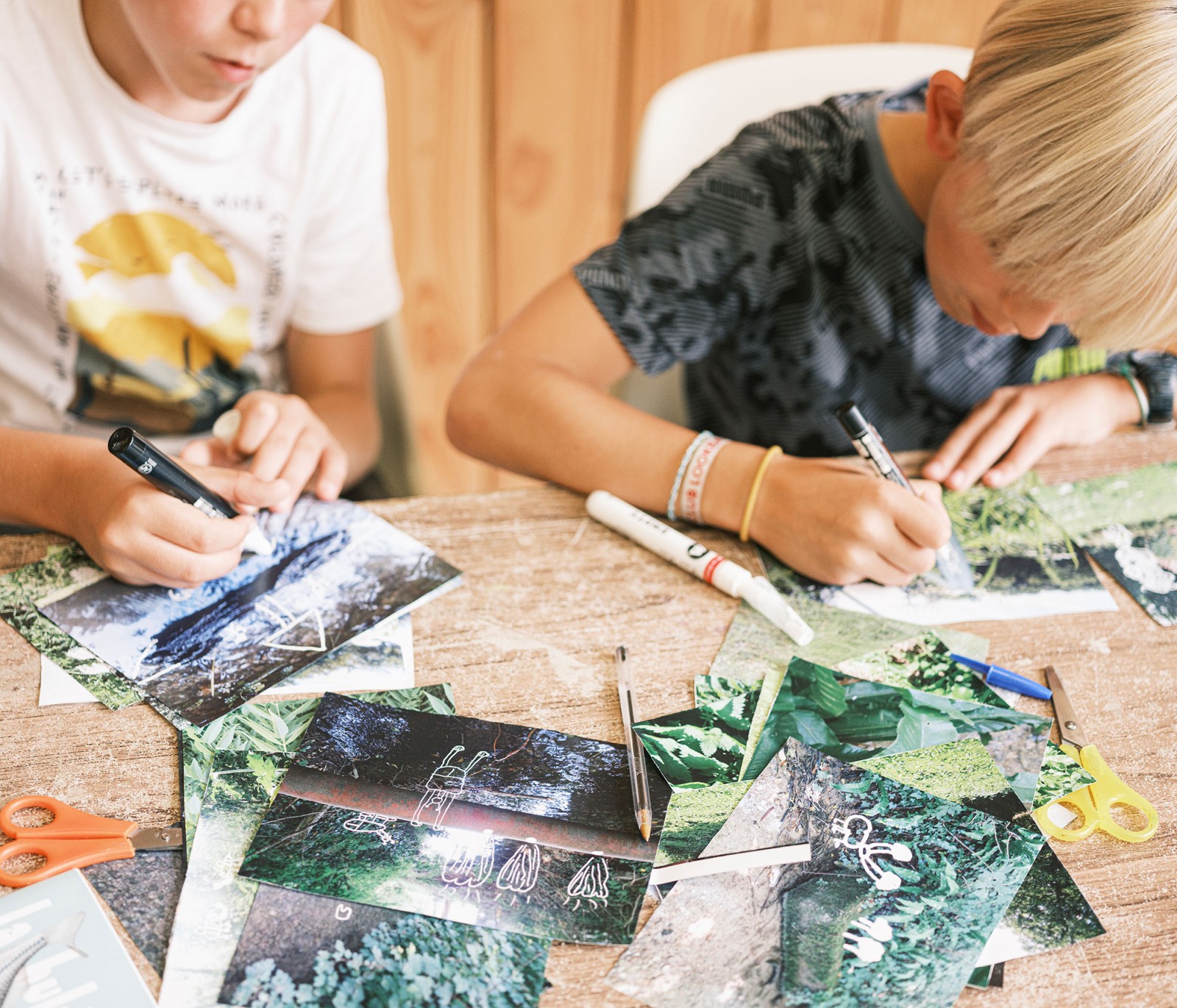 lelievre-oasis-dscf2685