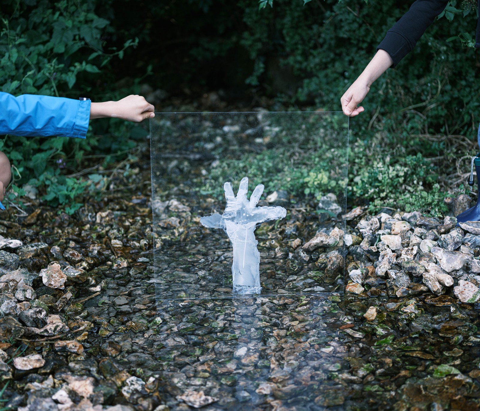 lelievre-oasis-dscf2706