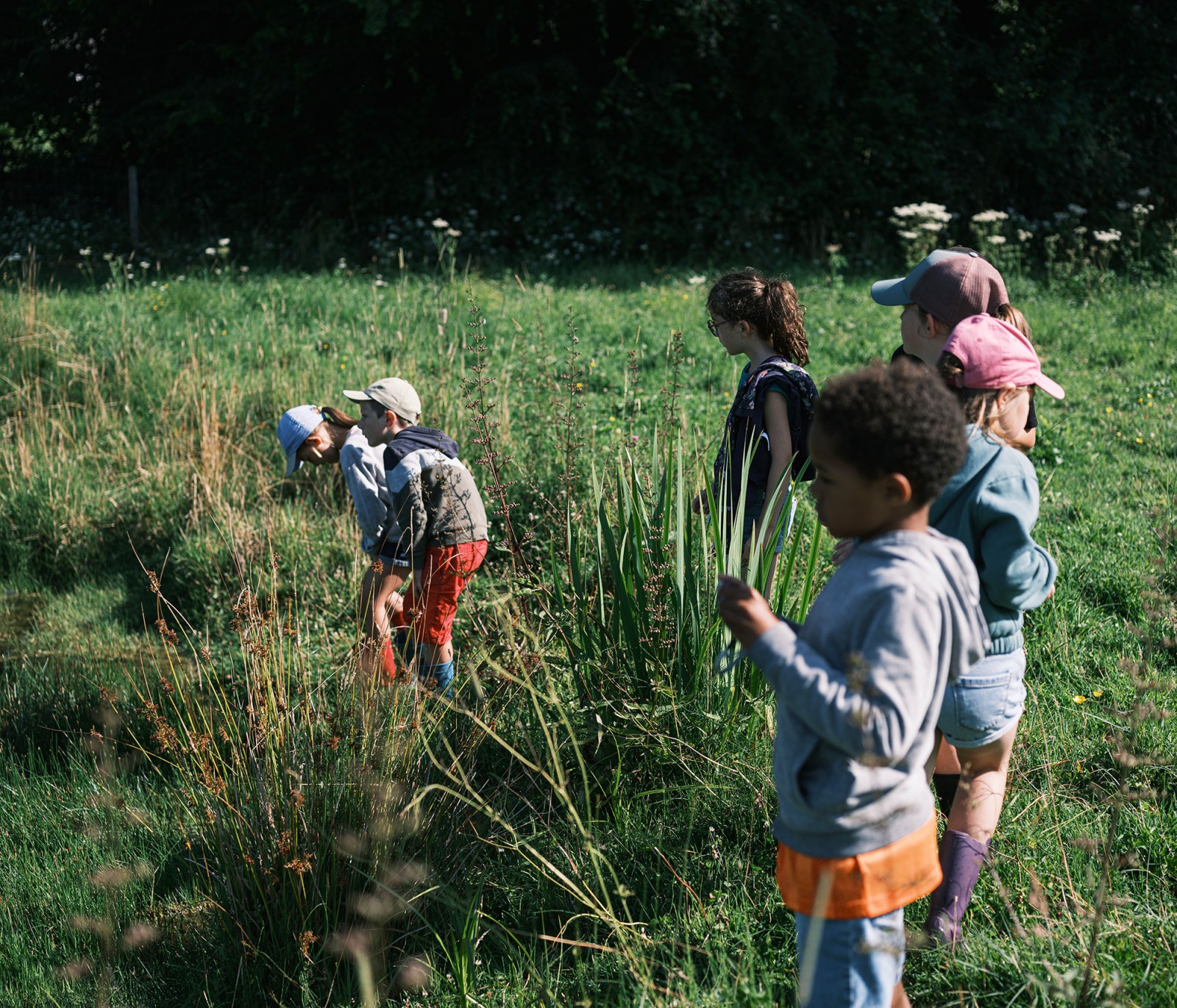 lelievre-oasis-dscf2615
