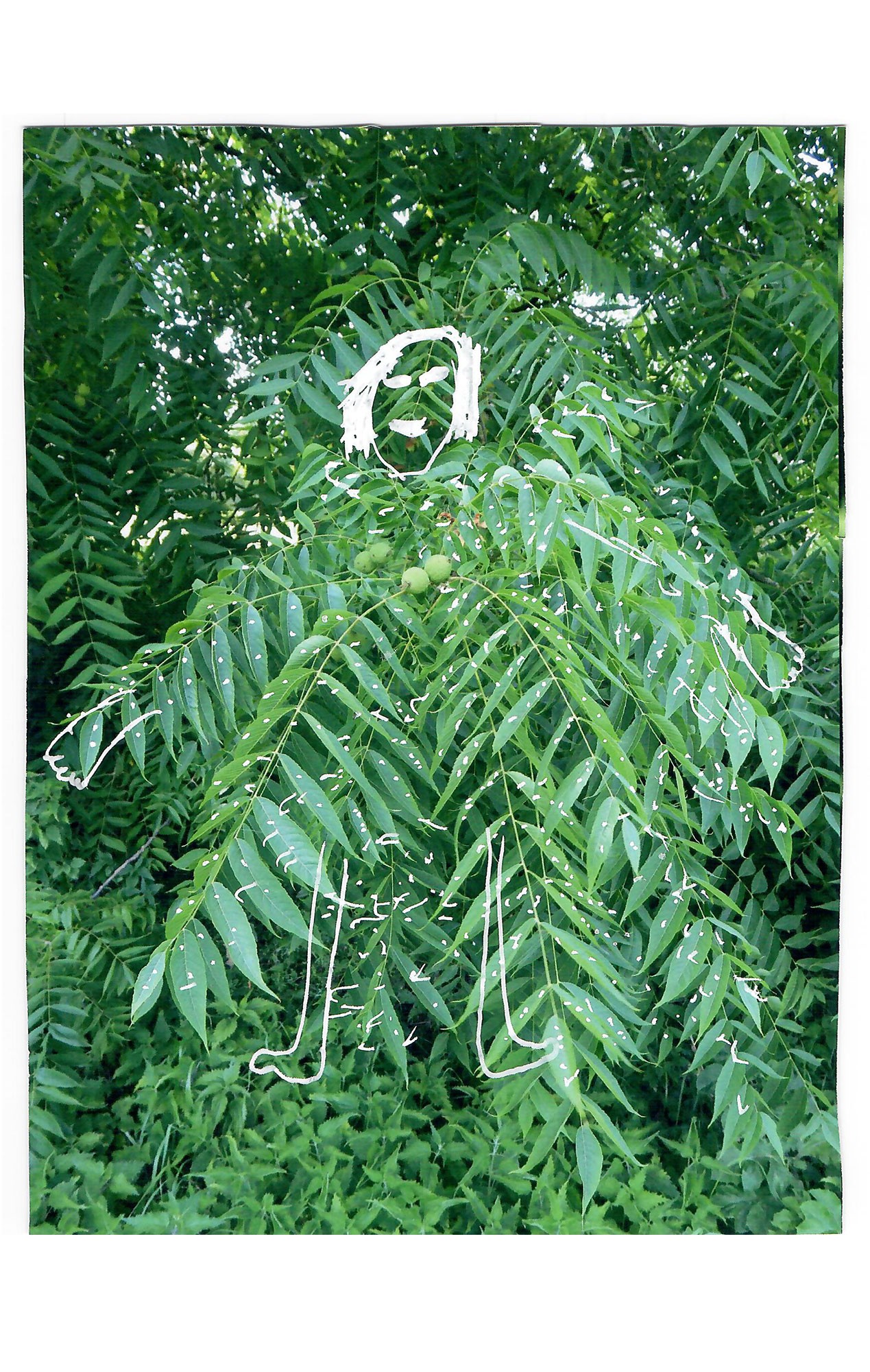 lelievre-oasis-03-26