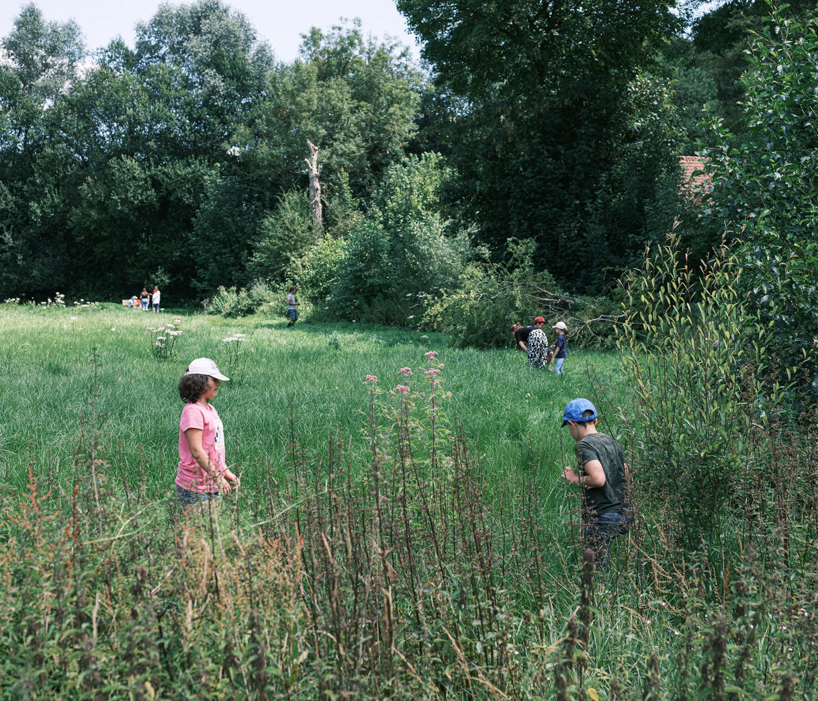 lelievre-oasis-dscf2653