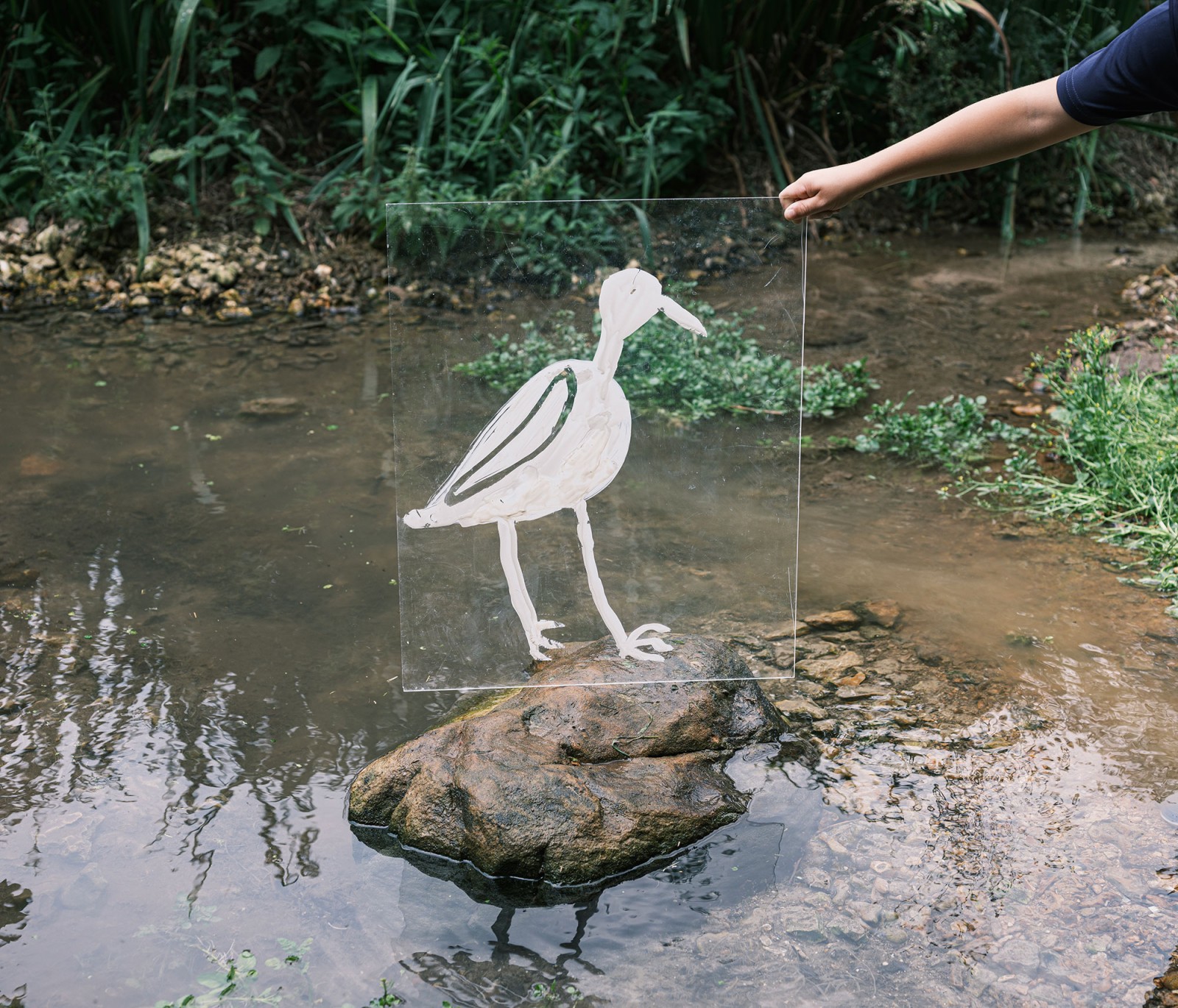 lelievre-oasis-dscf2731