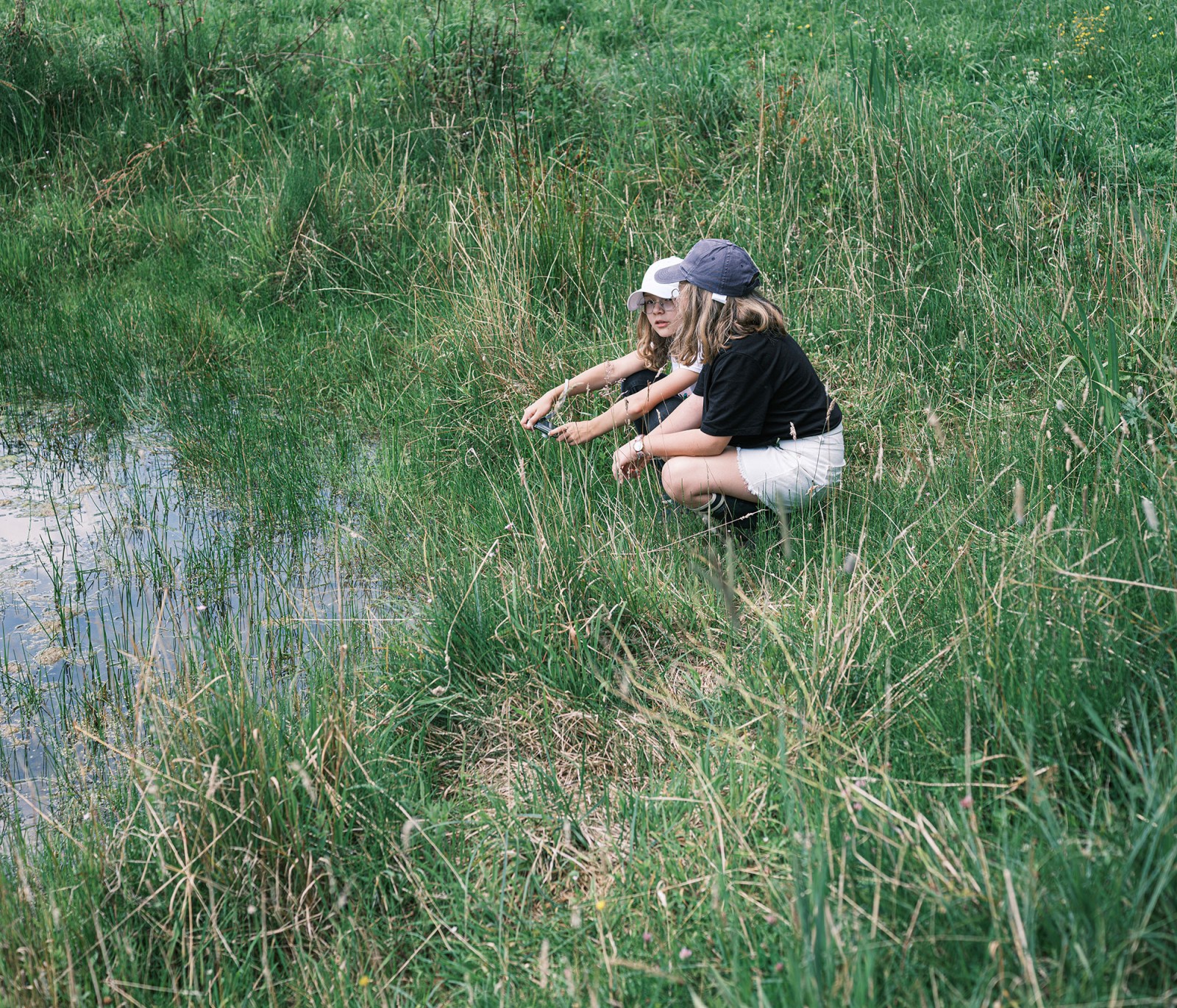 lelievre-oasis-dscf2657