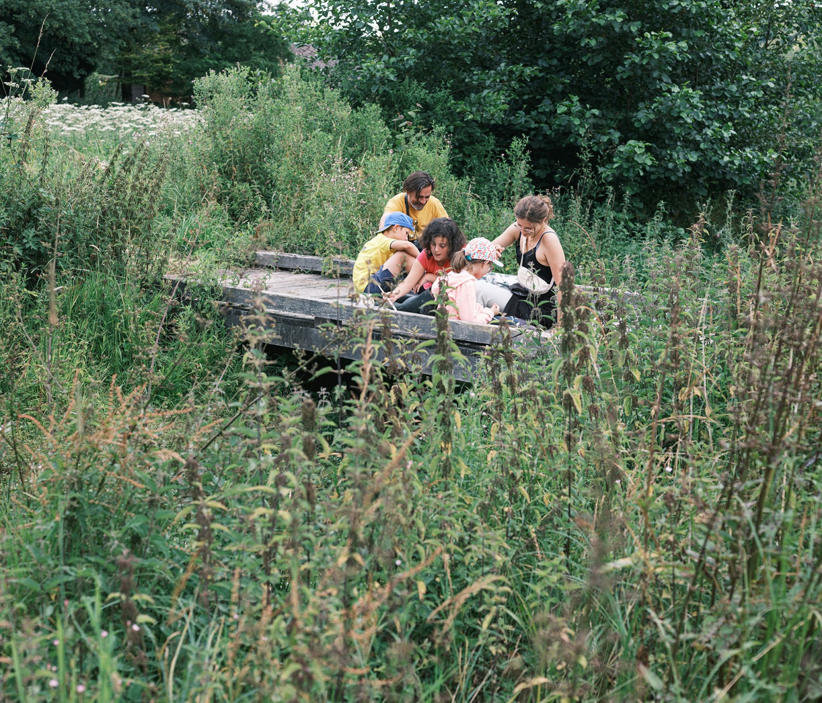 lelievre-oasis-dscf2734