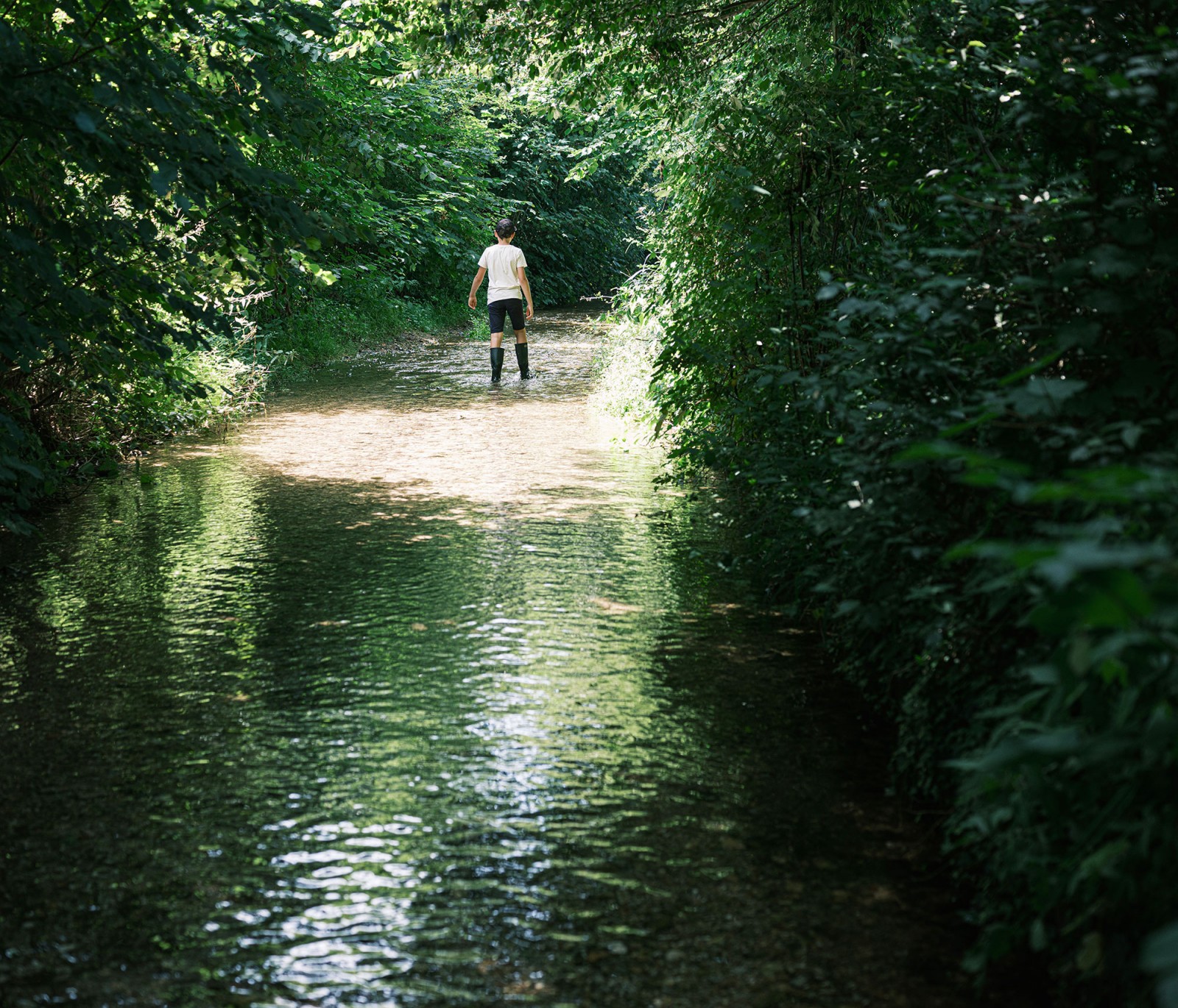 lelievre-oasis-dscf2675