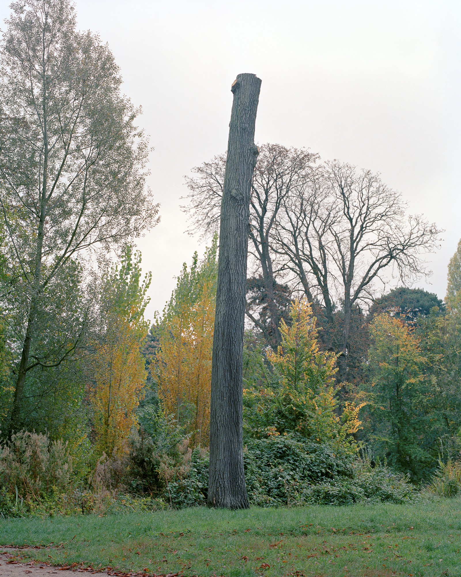 julien-lelievre-serendipite-ok-30