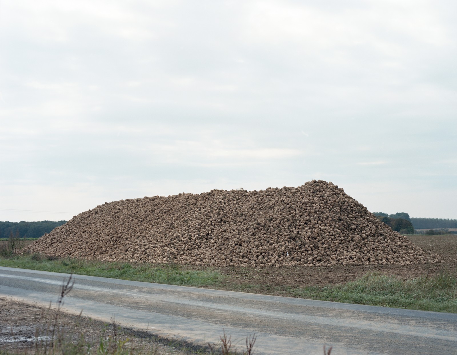 julien-lelievre-serendipite-ok-16