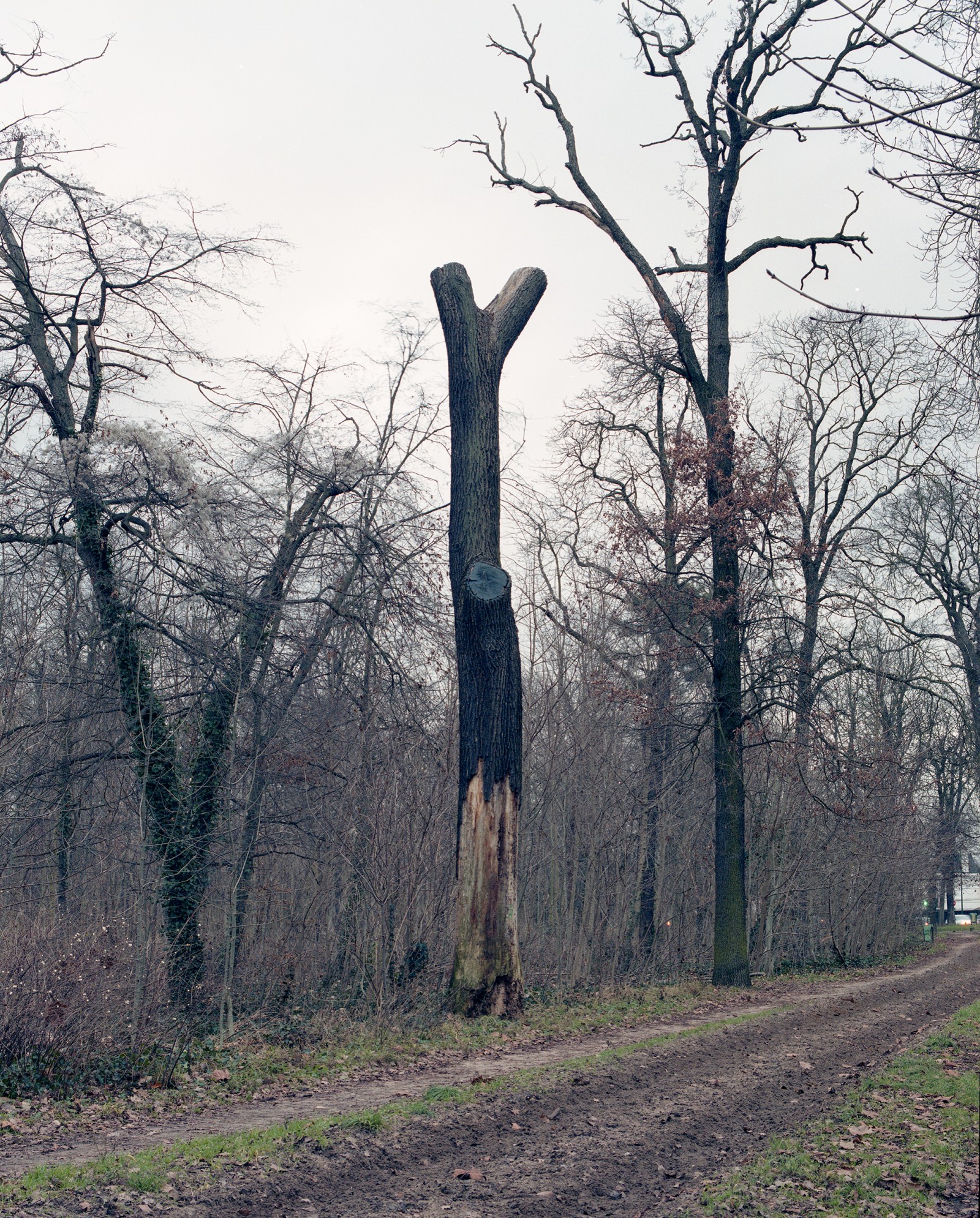 julien-lelievre-serendipite-ok-11