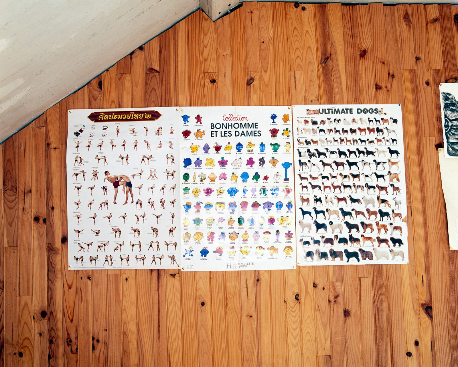 julien-lelievre-ri-hsh-kiblison-18