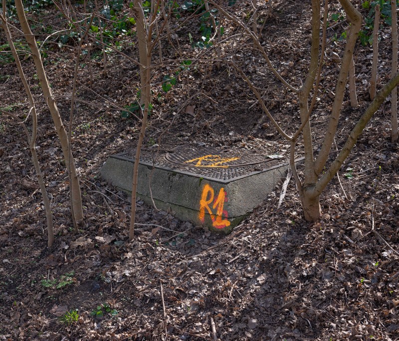 Bois de Vincennes, 2023